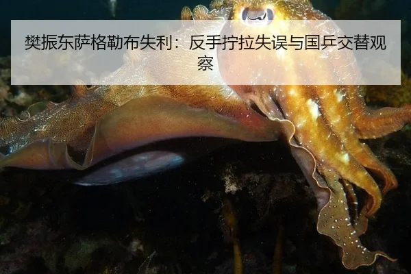 樊振东萨格勒布失利：反手拧拉失误与国乒交替观察